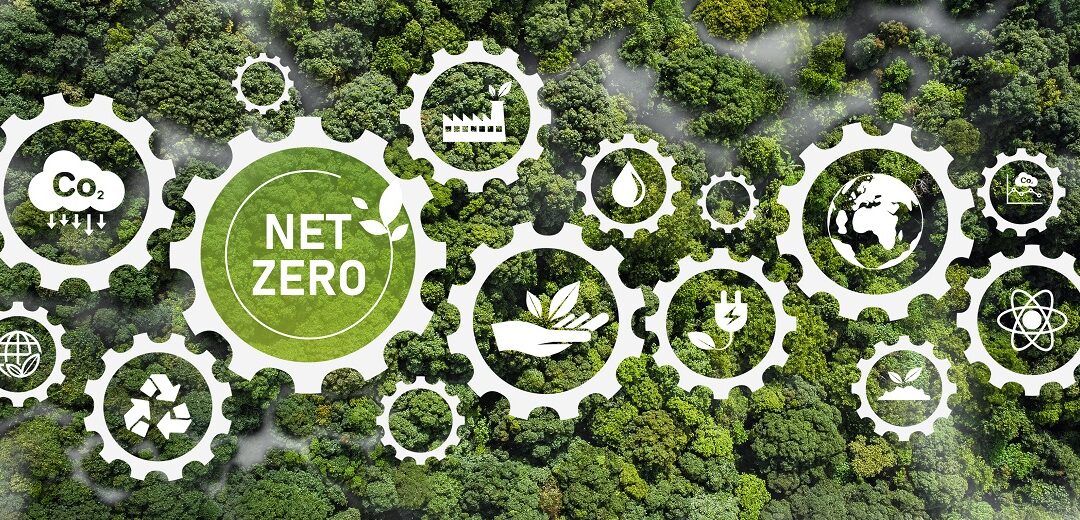 Position Paper on the Importance of the Net-Zero Industry Act for the EU