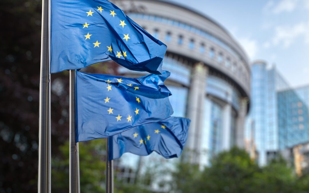 2025 State of the Union Address by President von der Leyen