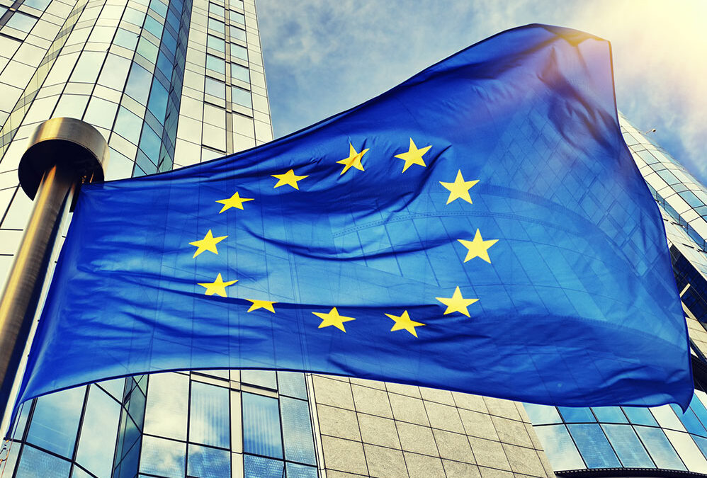 EESC Activities Report no 1/25