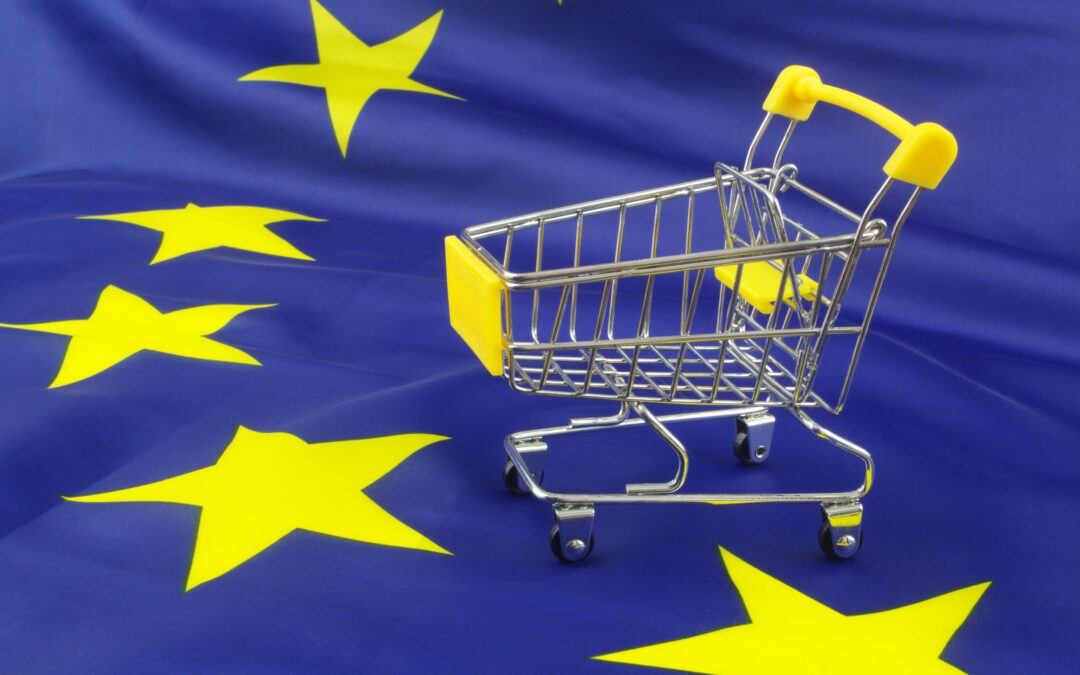 Lunch Debate Summary: Future of the Single Market for Services in the EU