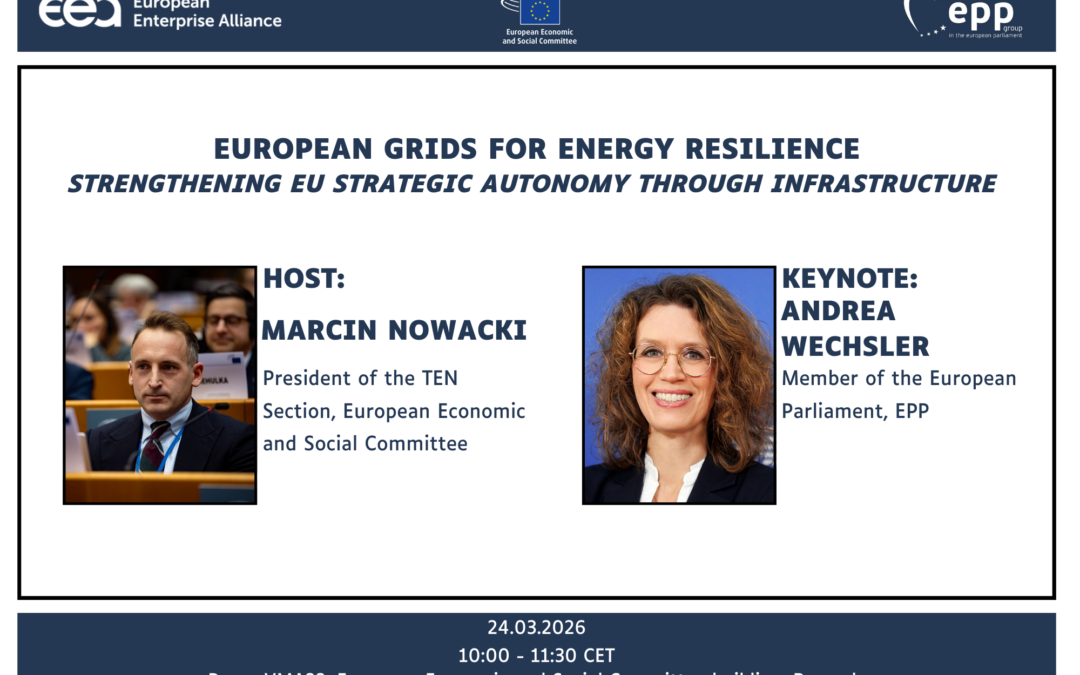 European Grids for Energy Resilience: Strengthening EU Strategic Autonomy through Infrastructure